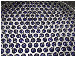 放電室側(cè)視